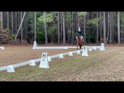Wild mission dressage test Aiken 2024