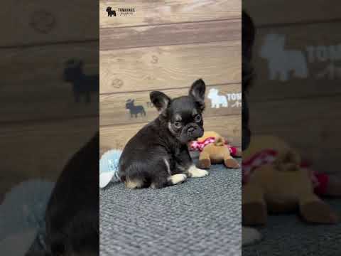 Video 2