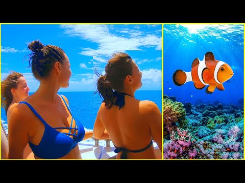 VELKÝ BARIÉROVÝ ÚTES - POTÁPĚNÍ! NAŠLI JSME NEMA!