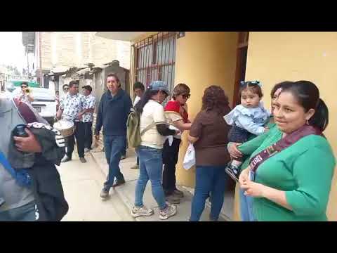 POMABAMBA: Recojo de toros , Fiesta patronal del Señor del Triunfo  de  Ucushcasha 2026.