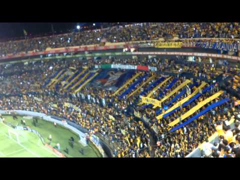 "Recibimiento De Tigres La Copa Libertadores" Barra: Libres y Lokos • Club: Tigres