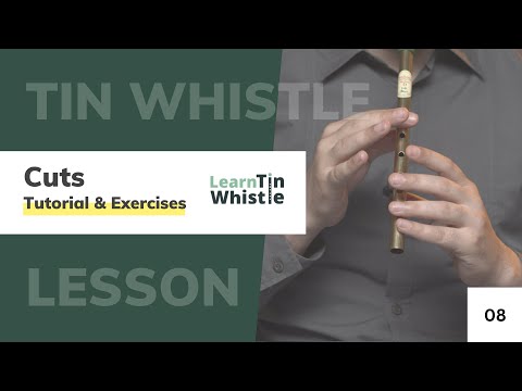 Cuts Ornamentation - Irish Tin Whistle Tutorial