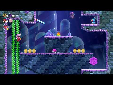 Blewbird Roost 100% All Coins and Wonder Seeds Super Mario Bros Wonder