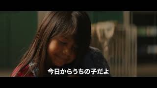 SPOT「姉妹」編30秒