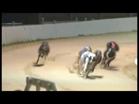 King Lennon - Coral Essex Vase - 3rd Semi Final