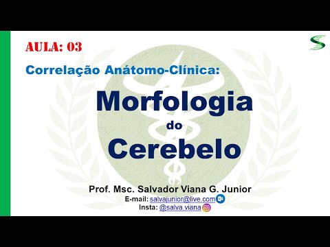 Neuro anatomia do Cerebelo 1/2