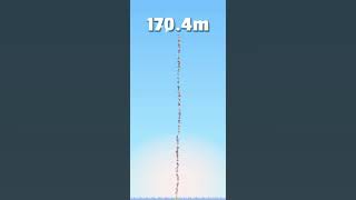 Cat Stack high score