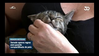 Vai à sanção projeto sobre guarda compartilhada de animais de estimação