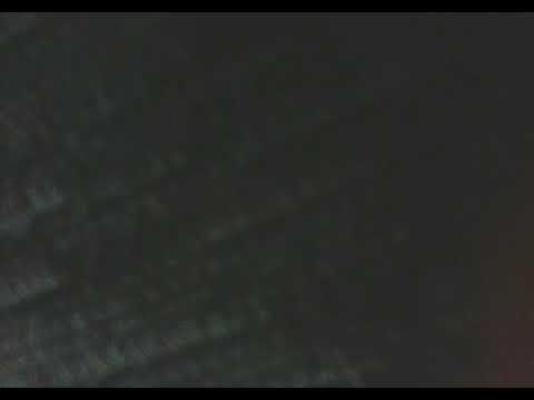 Selim king( taurunum Boys)