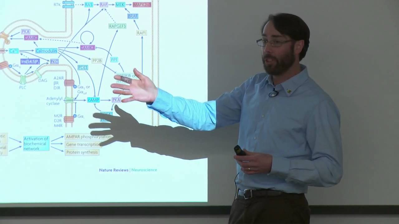 How We Can Improve Memory - Dr. Matthew Holahan