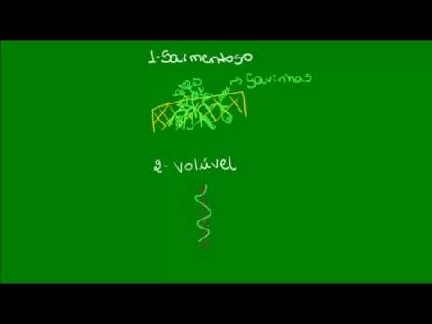 Caules trepadores e caules rastejantes - Botânica - Biologia