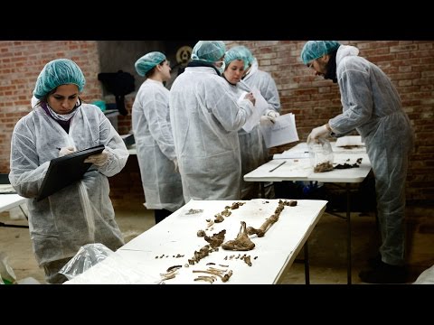 Españoles localizan restos de Miguel de Cervantes Saavedra en Madrid