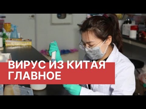 Вирус в Китае. Что важно знать. Новый китайский вирус. Последние новости о вирусе из Китая 2020