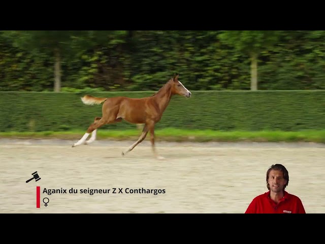 AirTag van de Kruishorst Z
