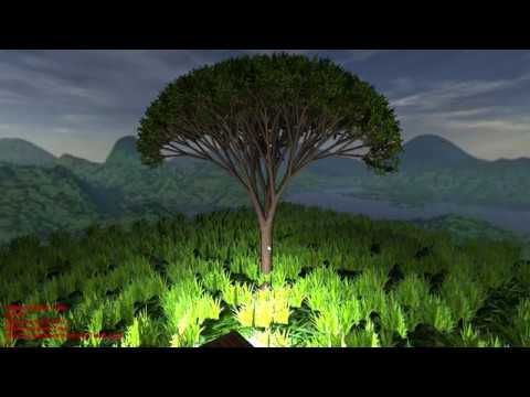 single_tree_scene_clip