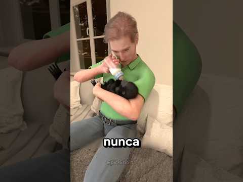O REENCONTRO EMOCIONANTE ENTRE UM HOMEM E UM GORILA 🥹🦍