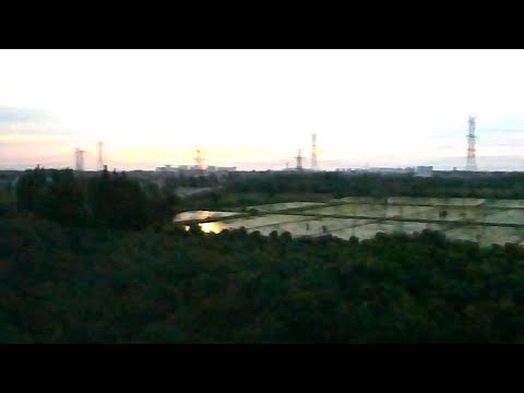 Willaris. K, Chloe Kae, CRUSH3d - I Miss You Now (Official Video)