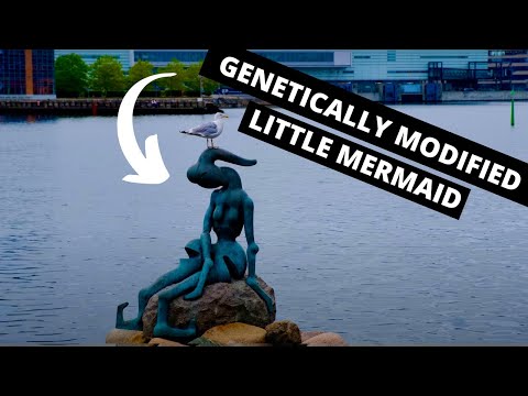 12 HOURS IN THE WORLD'S HAPPIEST CITY! (Copenhagen Travel Vlog)