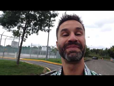 JOUR 21 : On promène un chien de la SPA