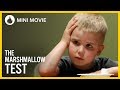 The Marshmallow Test 