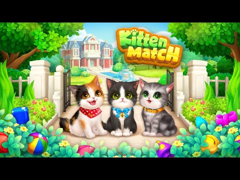 Kitten Match Video