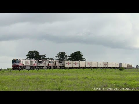 SCT Freight Train Approaching Gheringhap - PoathTV Australian Railways