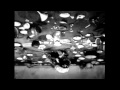 Velvet Acid Christ - Hallucinagene 