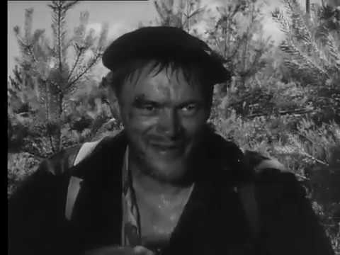 Hopeaa rajan takaa 1963 Trailer