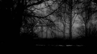 Shape Of Despair - Sylvan-Night