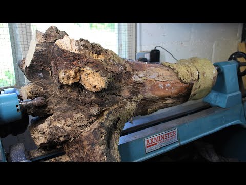 Woodturning - Hidden Treasure Inside a Tree Root! #Speedy