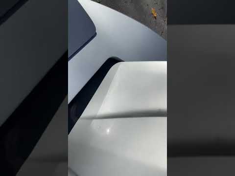 1981 Chevrolet Corvette (CC-1467168) for sale in Westford, Massachusetts