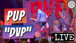 PUP &quot;DVP&quot; LIVE
