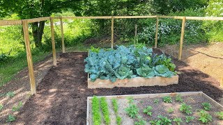 Installing Our Raised Bed Garden Fence | EverCrest