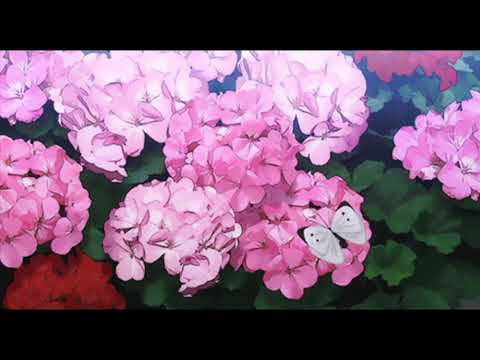 Nymano x Pandrezz - Bloomin' (slowed + reverb)