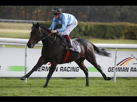 Köln: Preis der EBF-Hengste (D) - Sieger: Northsea Star