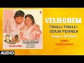 Thulli Thulli Odum Pennea Audio Song Tamil Movie Veliechem Karthik Ranjini Vairamuthu Manoj