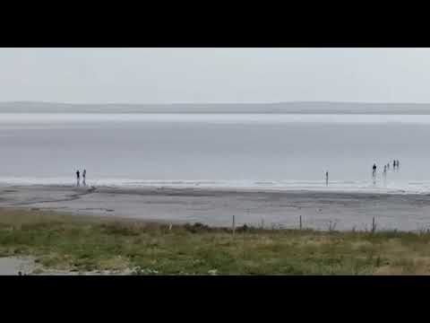 Salt Lake | Lake Tuz Gölü | Pink Lake #saltlake #pinklake #türkiye #viral #trending #shorts #reels