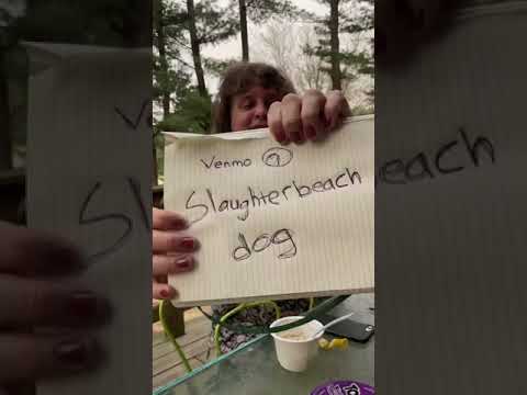 Slaughter Beach, Dog Live - FULL 05/10/2022