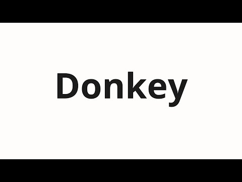 How to pronounce Donkey