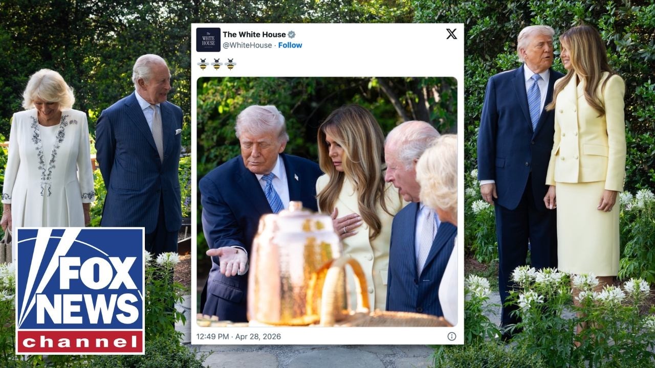 ‘HE’S SO CUTE’: Trump and King Charles share sweet moment during WH visit