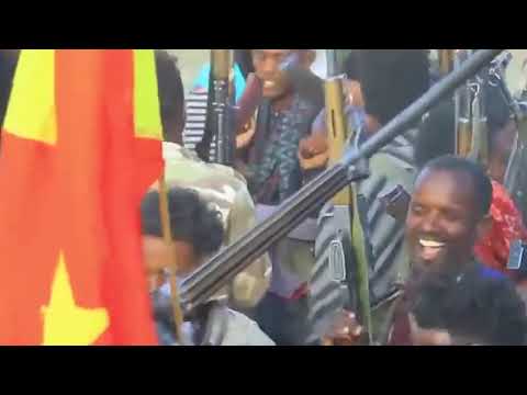 Milaw Tesfay-Battle Field song-  Hot Tigrigna music-2021