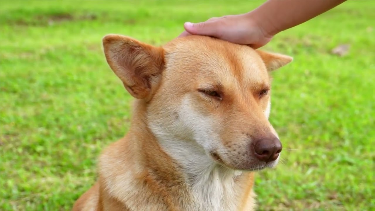 Пока ещё есть время