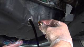 Engine Oil Change and Filter Acura TSX