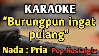Download lagu BURUNGPUN INGAT PULANG - KARAOKE || NADA PRIA COWOK || Pop Nostalgia || Nia Daniaty mp3 Download lagu BURUNGPUN INGAT PULANG - KARAOKE || NADA PRIA COWOK || Pop Nostalgia || Nia Daniaty mp3