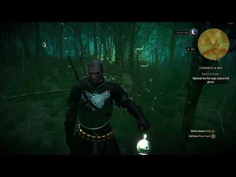 The Witcher 3 || A Towerful of Mice (Part 1)