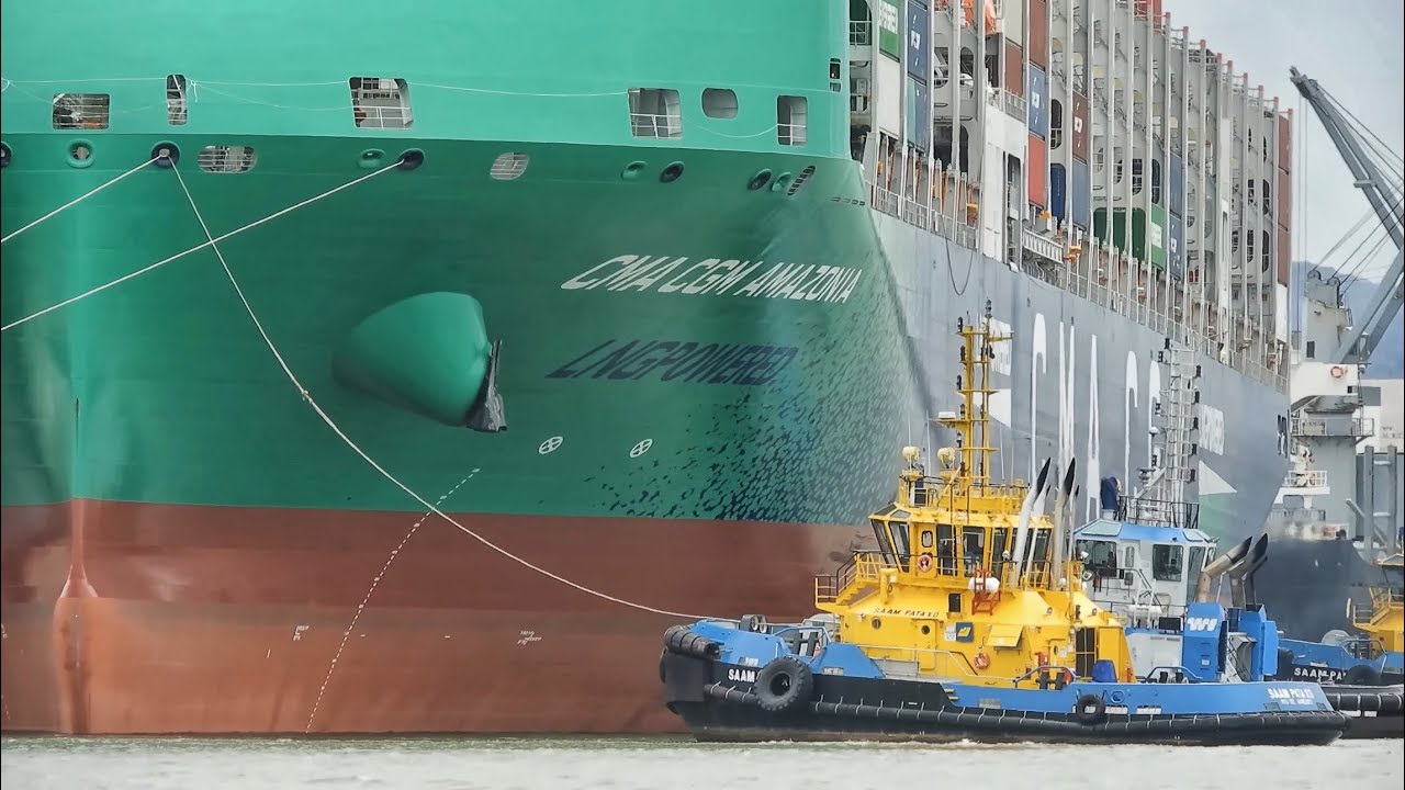 The Largest SHIP in history ARRIVED in Itajaí - Brazil