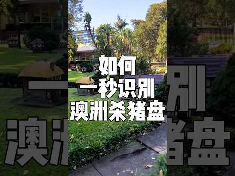 如何一秒识别澳洲杀猪盘？ #澳洲 #澳洲单身 #澳洲婚恋 #澳大利亚 #澳洲生活 #悉尼 #墨尔本 #布里斯班 #堪培拉 #珀斯 #阿德莱德