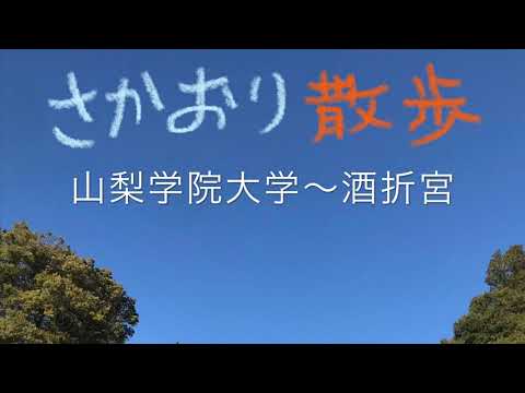 法学科 さかおり散歩（山梨学院大学～酒折宮）