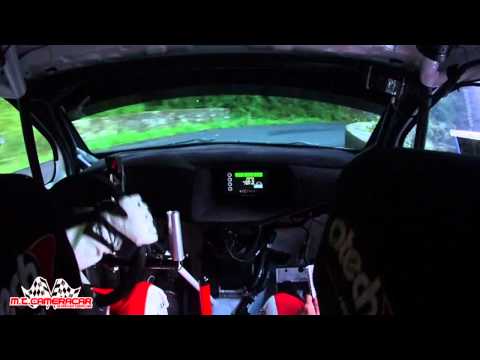 Rally coppa città di Lucca 2014  Michelini - Perna  Citroen DS3 R/5  1° ASSSOLUTI