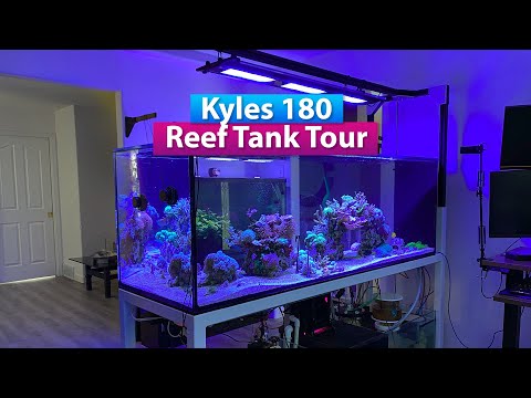 Kyle's 180g Saltwater Aquarium Reef Tank Tour
